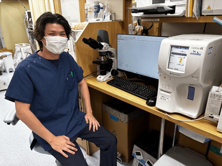 �@���̗l�q