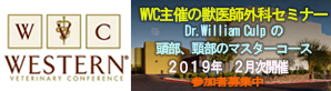 2019年「WVC獣医師外科セミナー」 2月次開催
