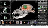 VAZE 獣医療専用高機能3D画像解析ソフトウェア：ハンズオンセミナー画像