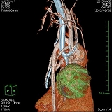 VAZE 獣医療専用高機能3D画像解析ソフトウェア：ハンズオンセミナー画像