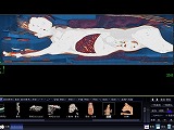 VAZE 獣医療専用高機能3D画像解析ソフトウェア：ハンズオンセミナー画像