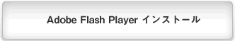 Adobe Flash Player CXg[